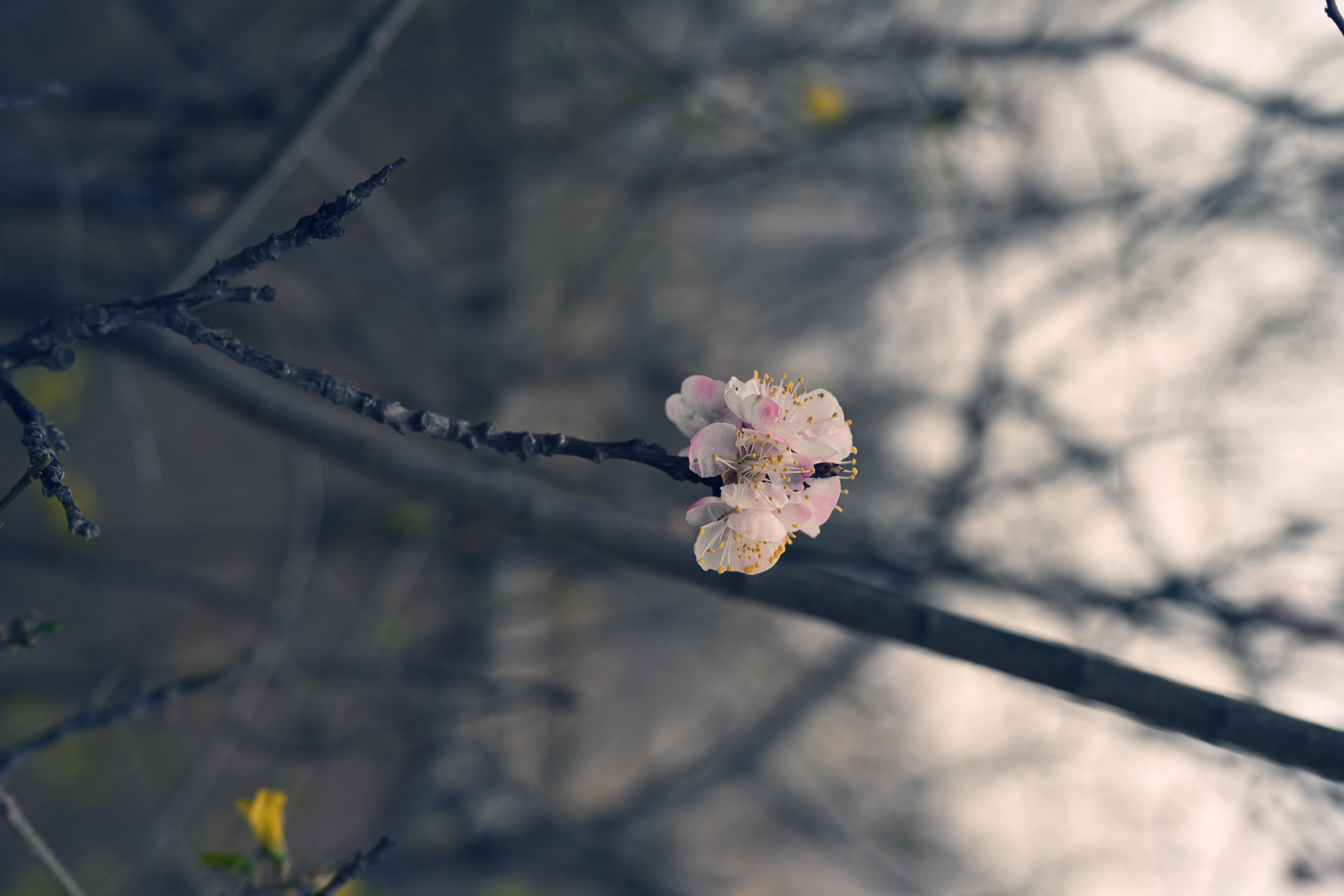 20250710_162019_T3fk.webp