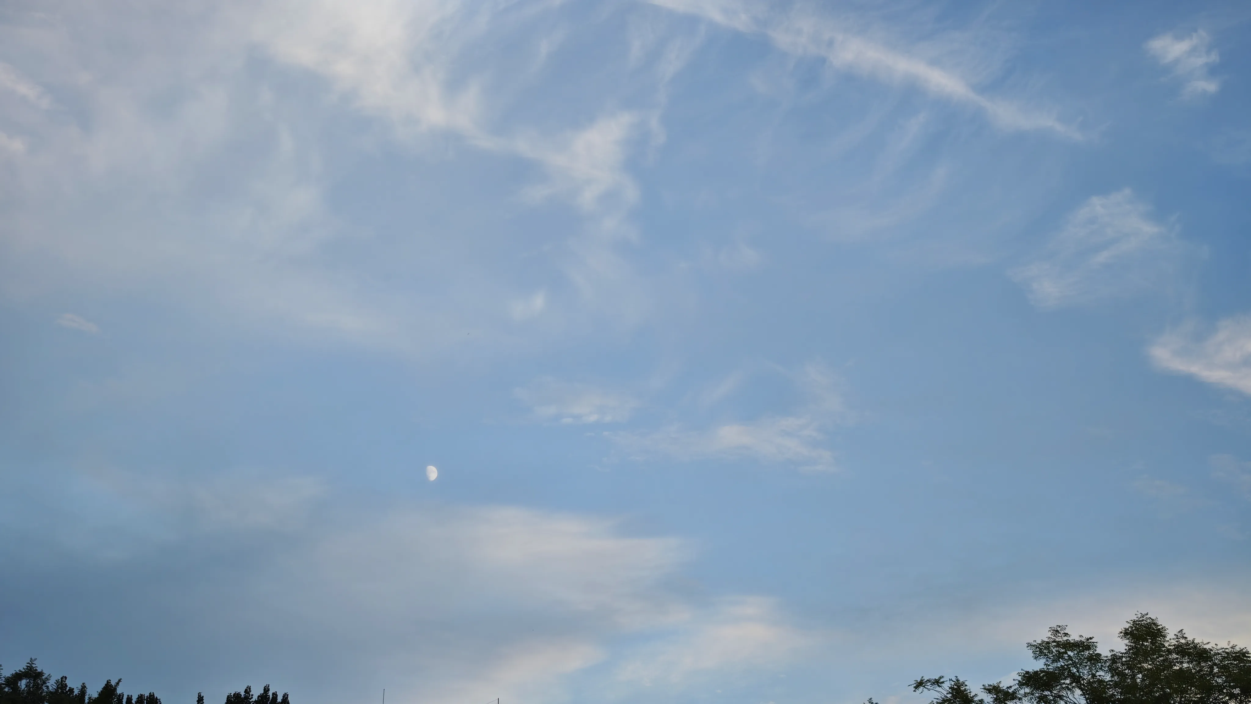 202508014858_410.webp