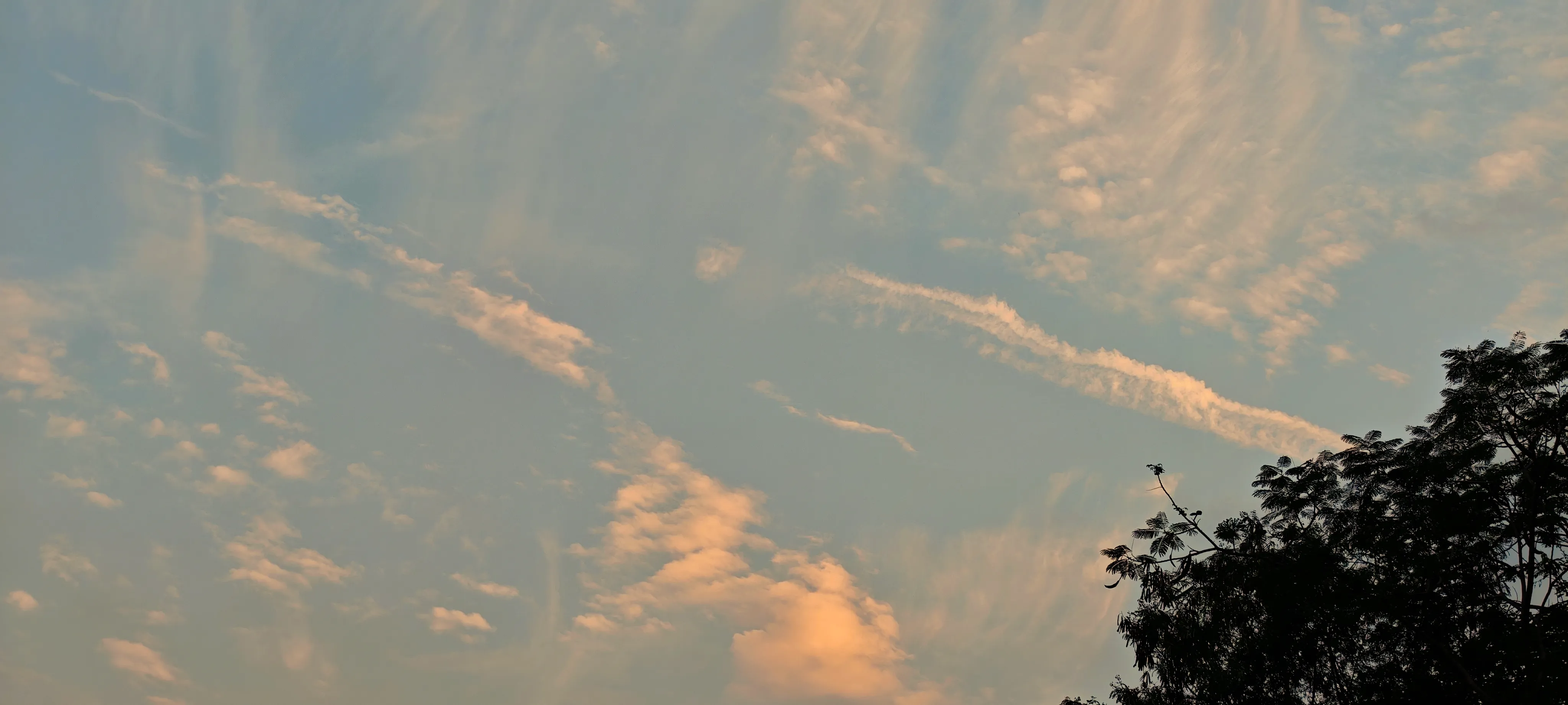 20251114_094411_dLNh.webp