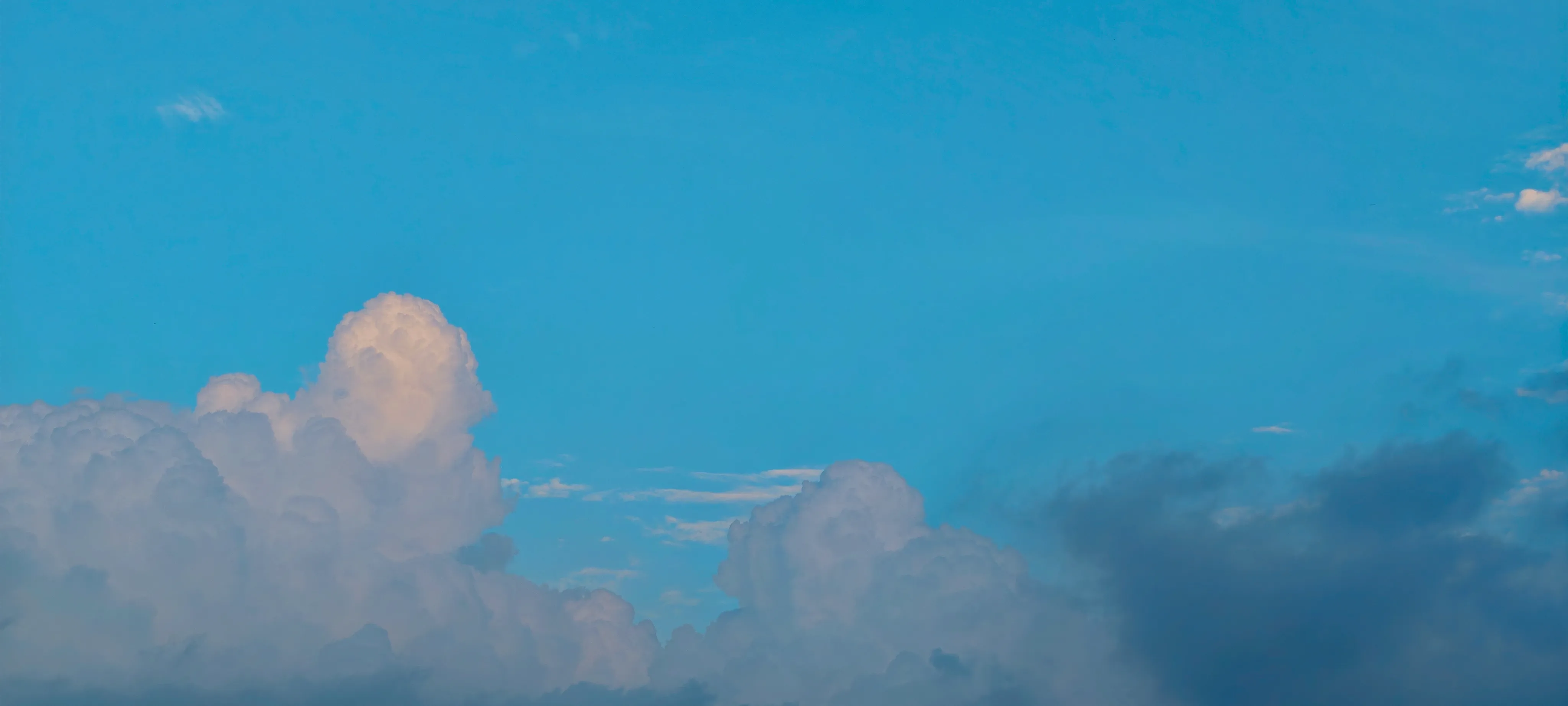 20251114_094441_qohI.webp