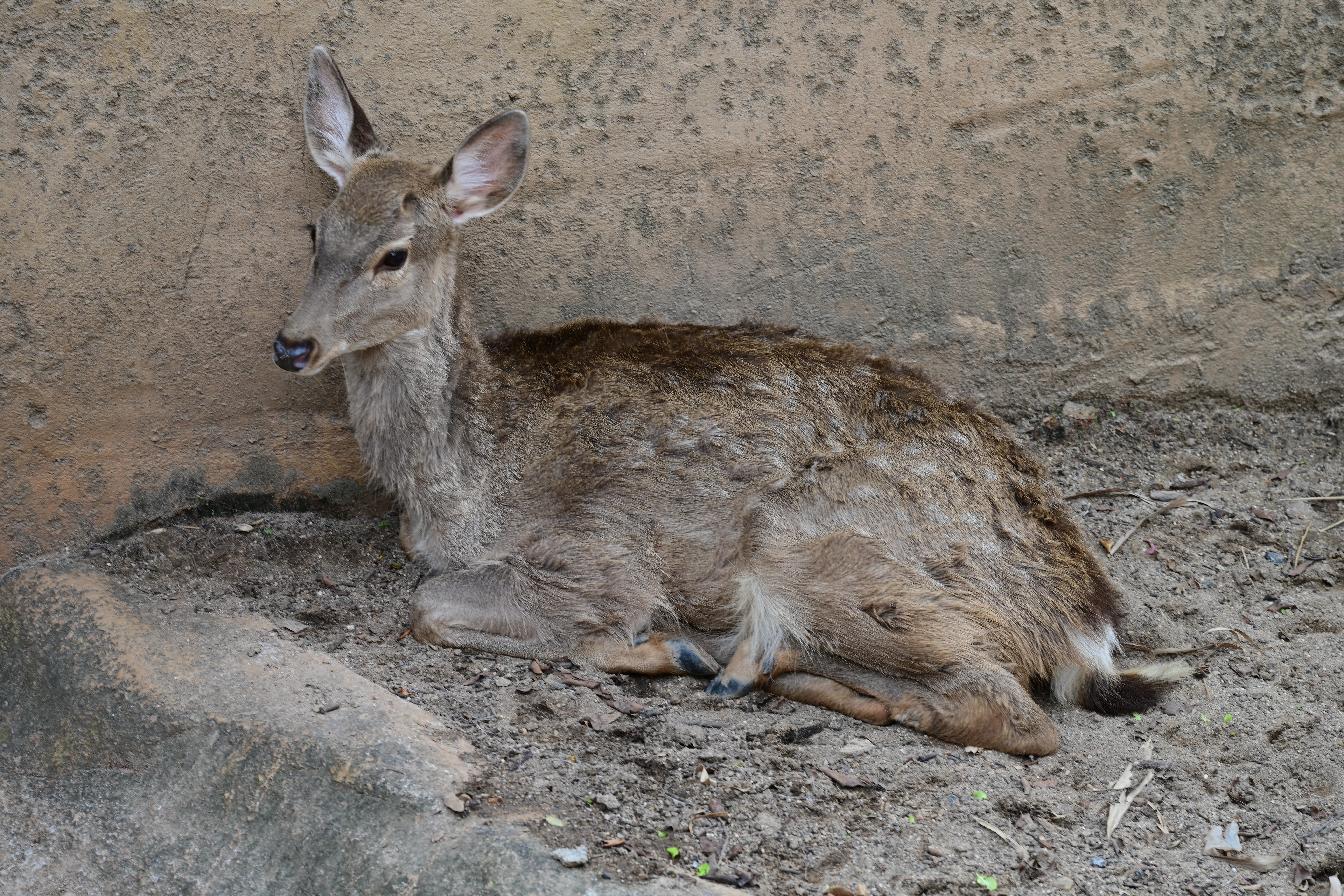 DSC_3242.webp