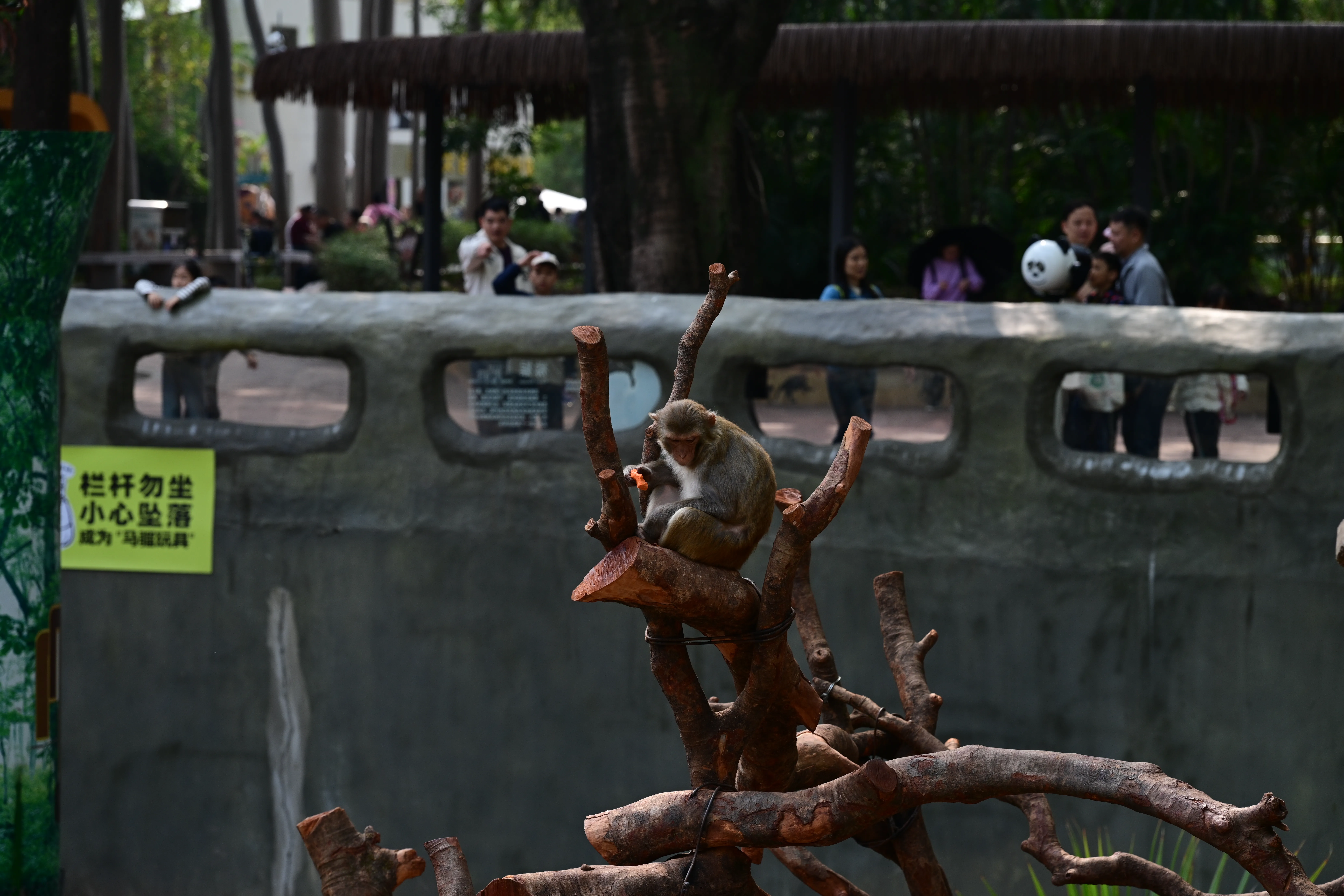 DSC_3270.webp