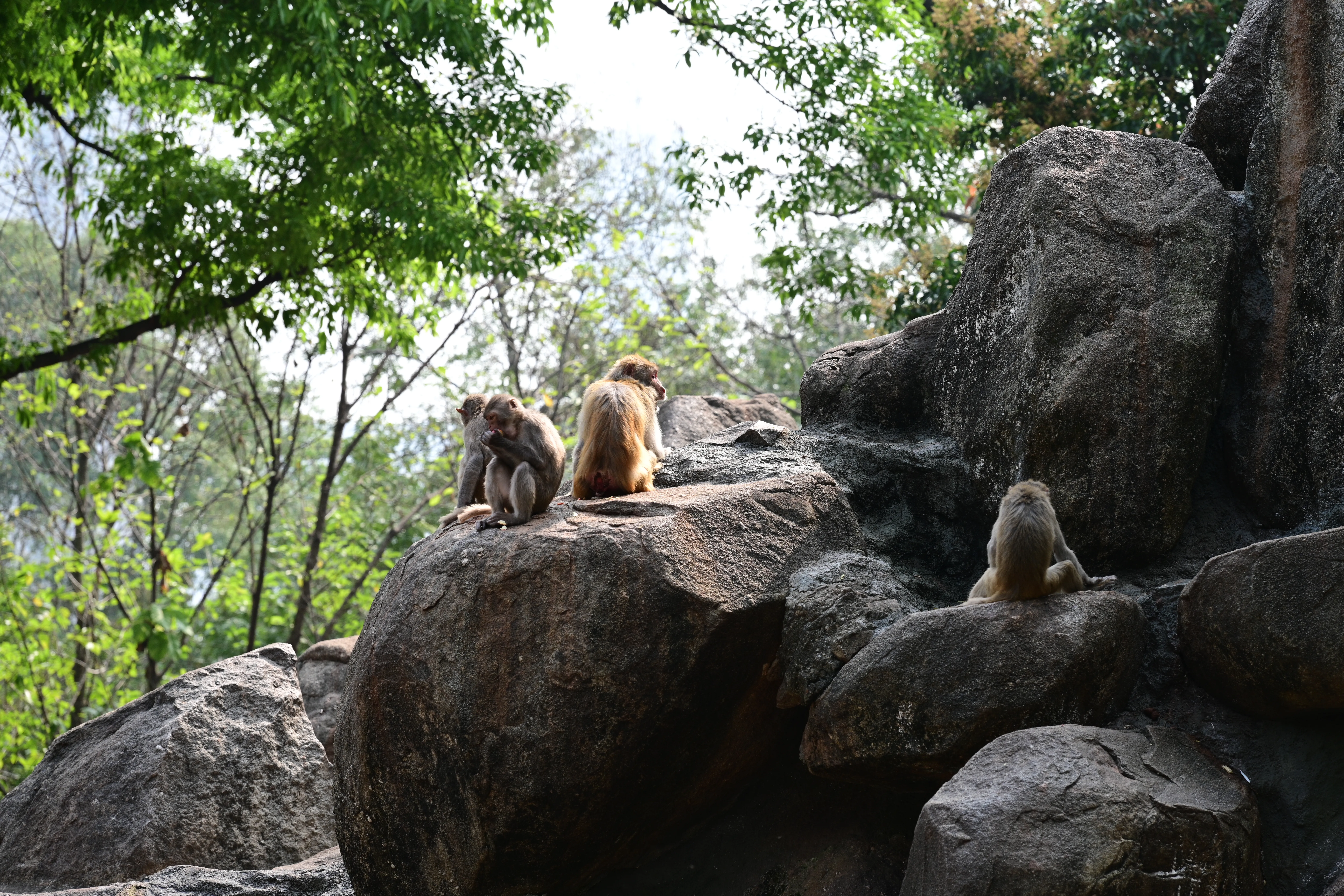 DSC_3274.webp
