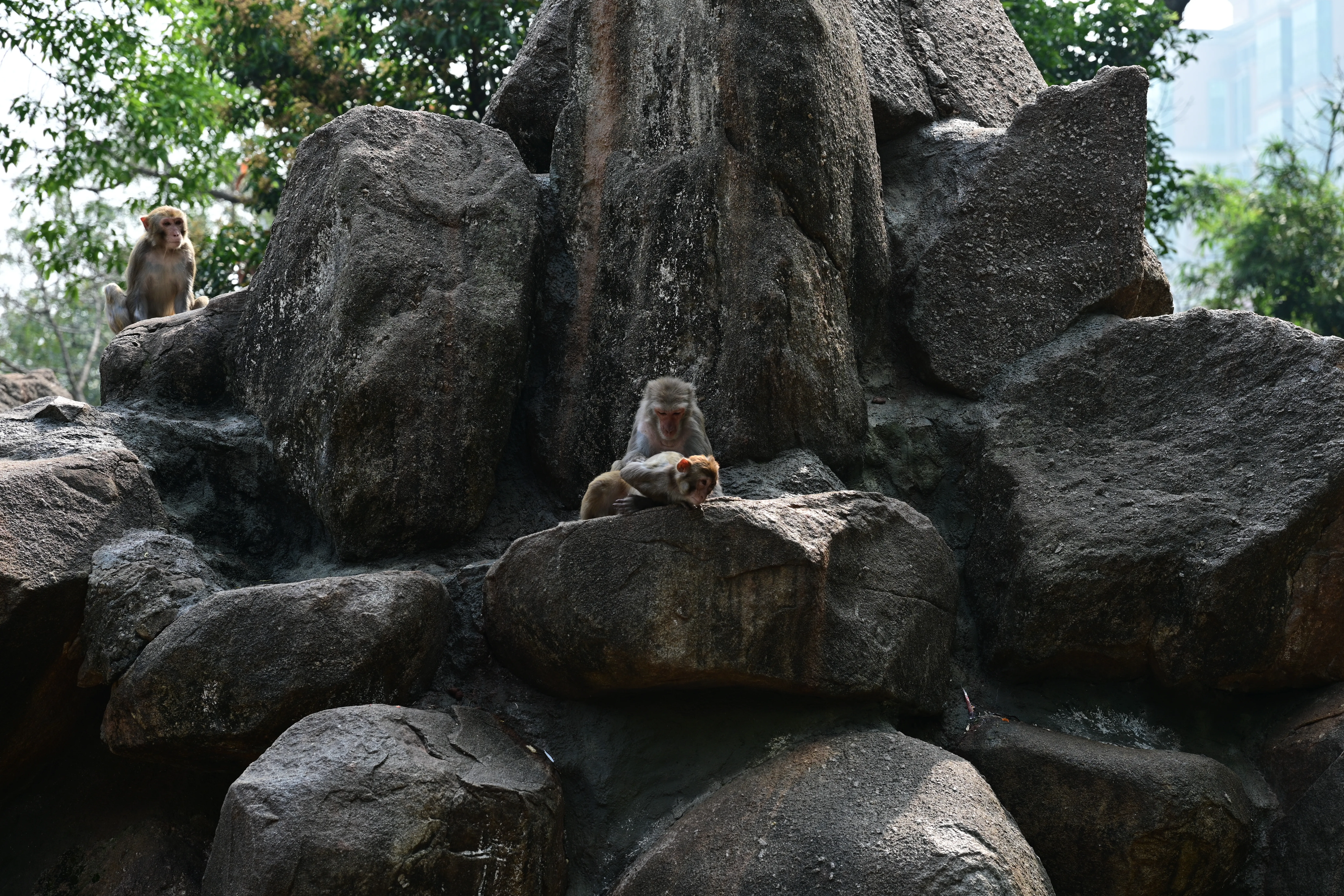 DSC_3295.webp