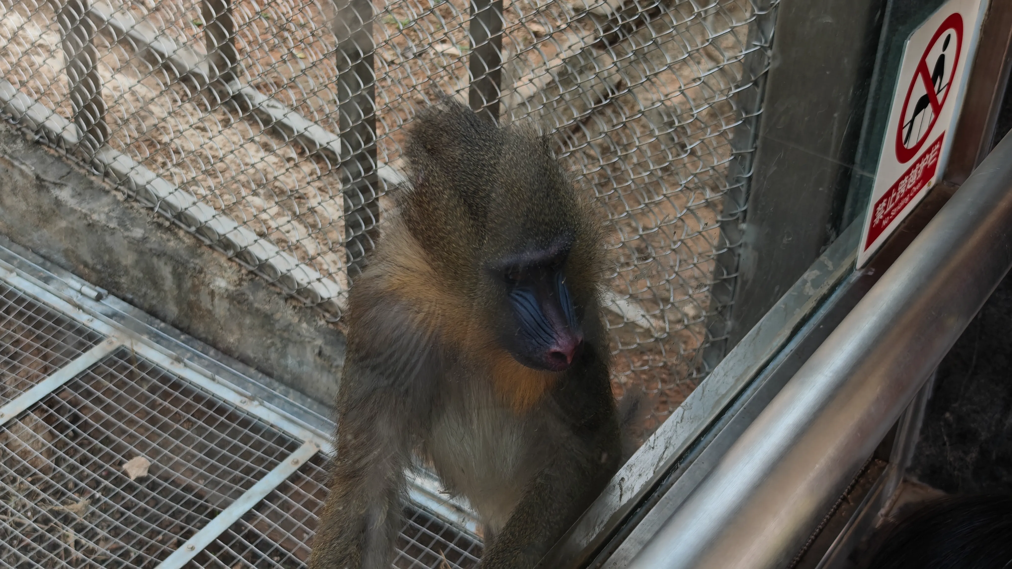 IMG_20260308_104522.webp