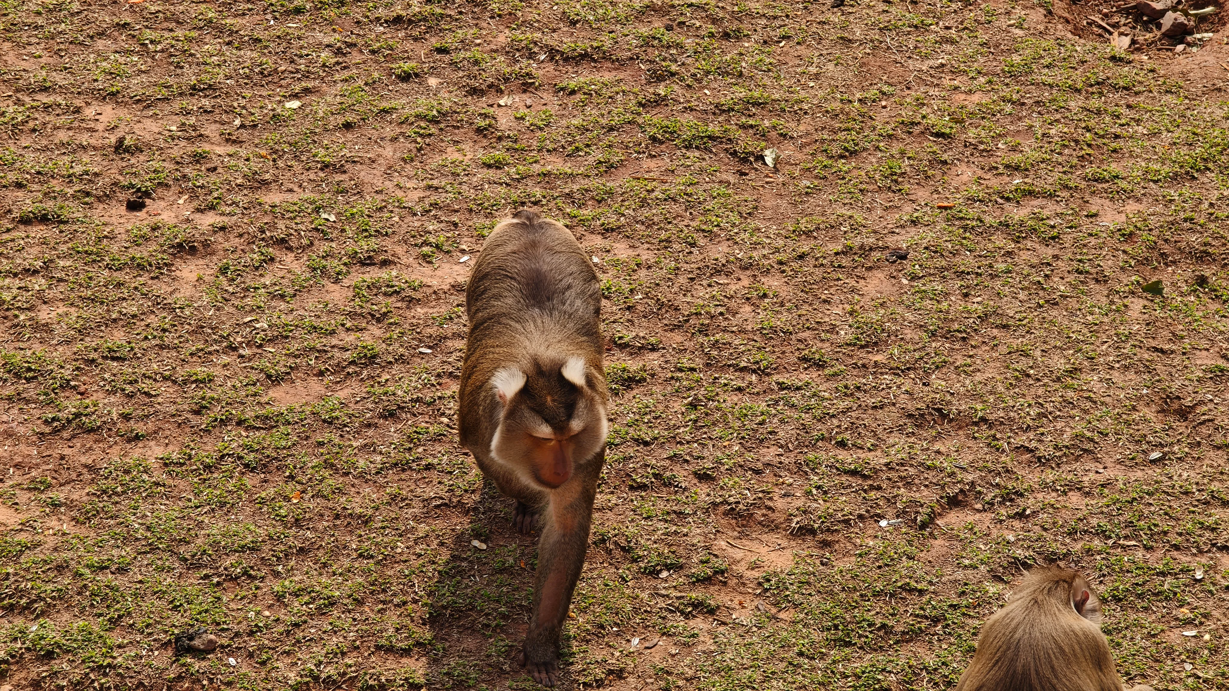 IMG_20260308_110138.webp