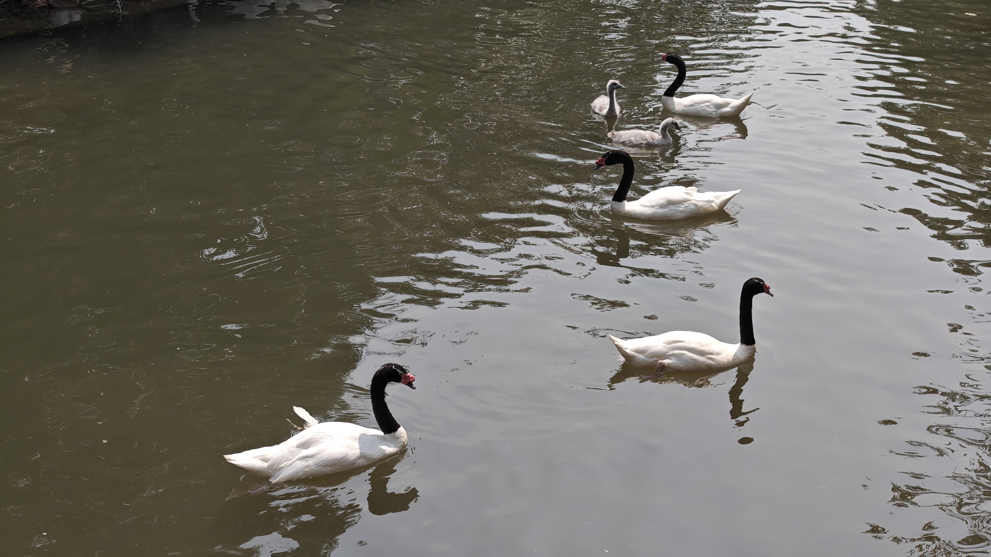 IMG_20260308_112214.jpg