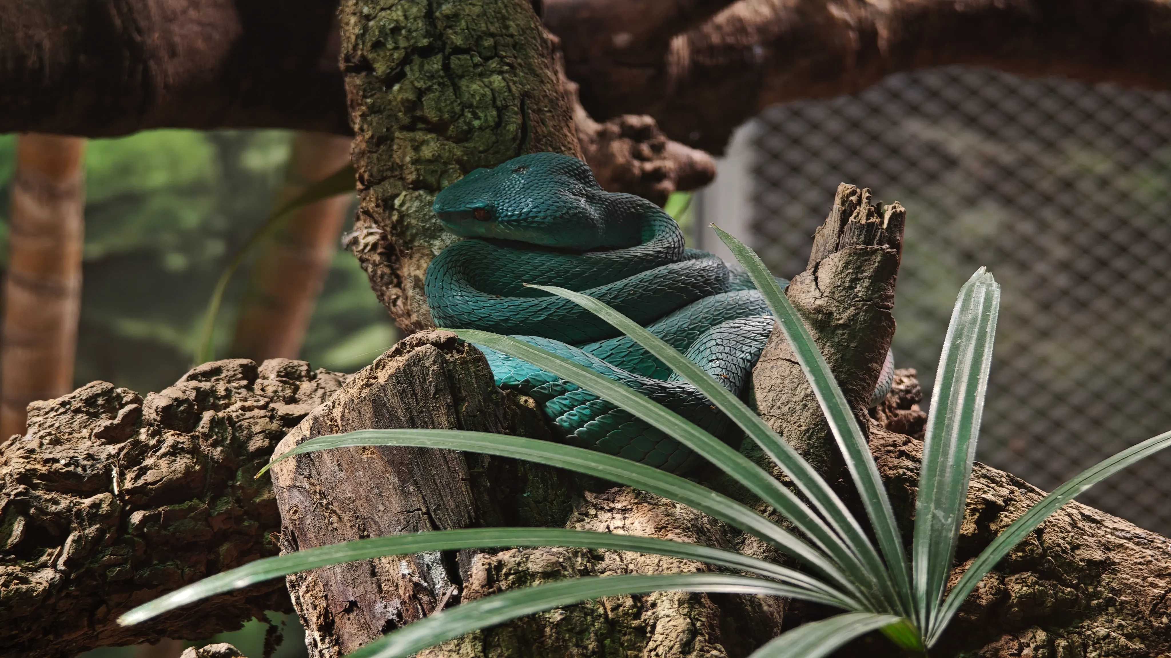 IMG_20260308_113951.webp