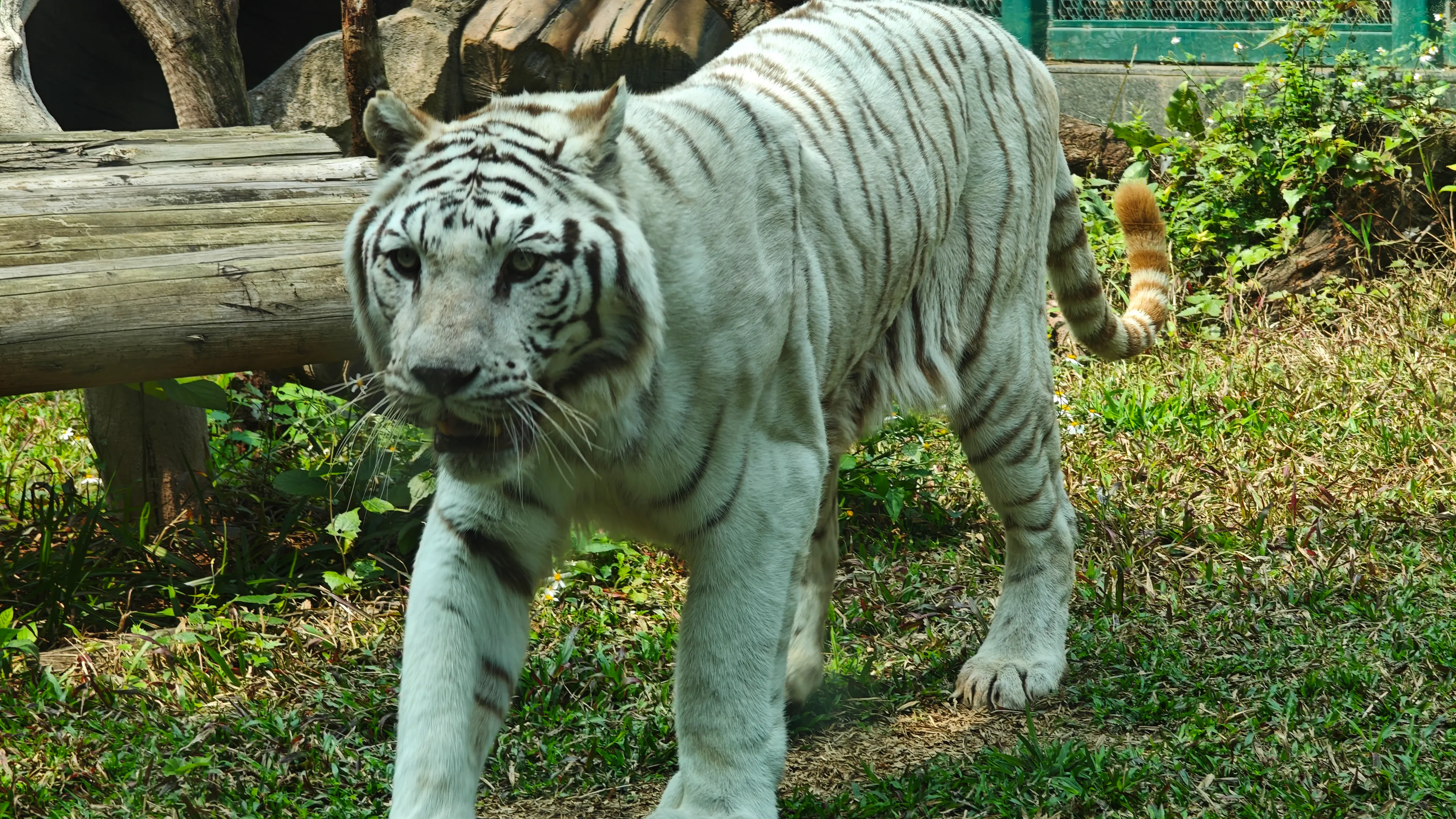 IMG_20260308_121543.webp