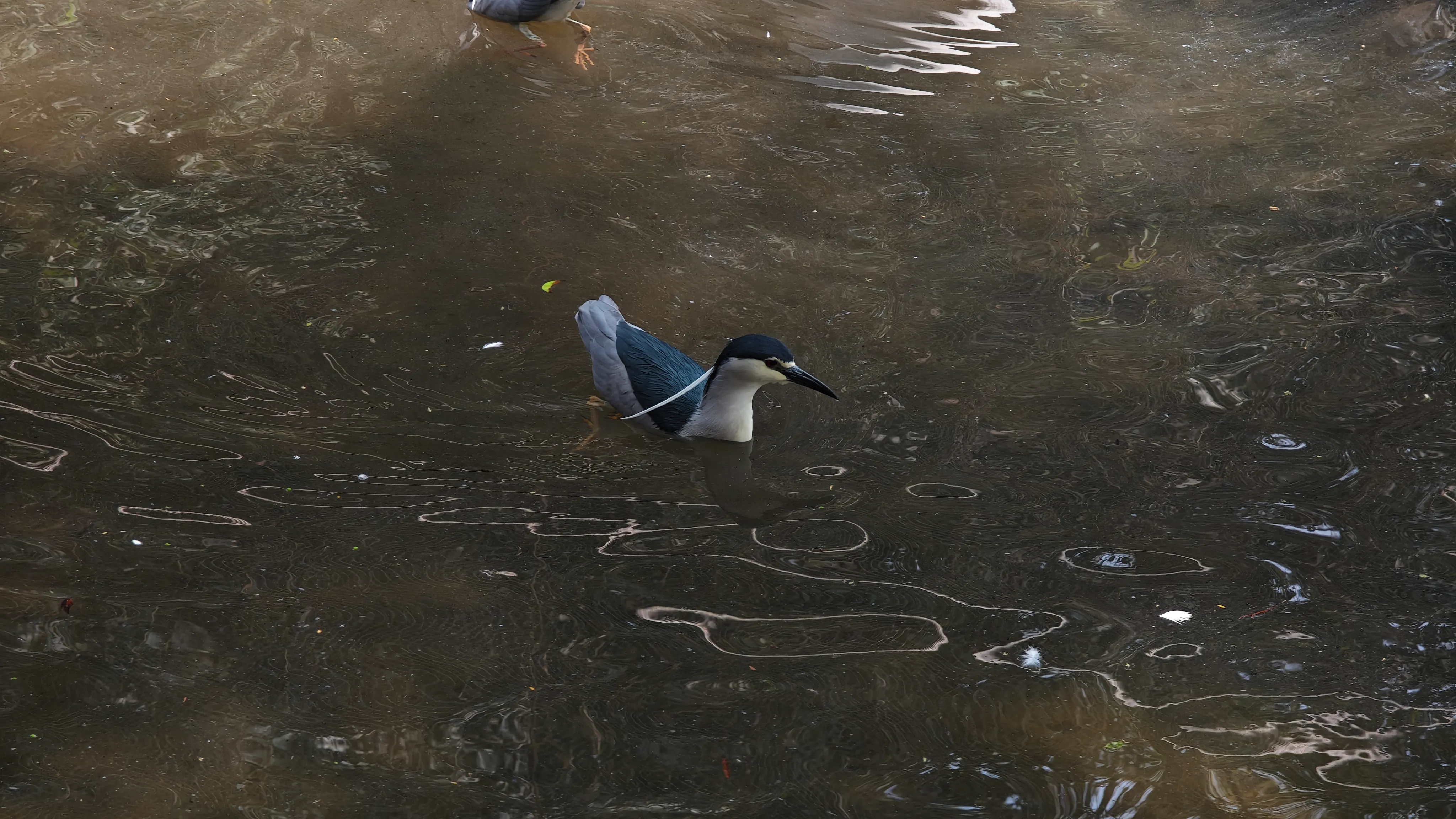 IMG_20260308_122926.webp