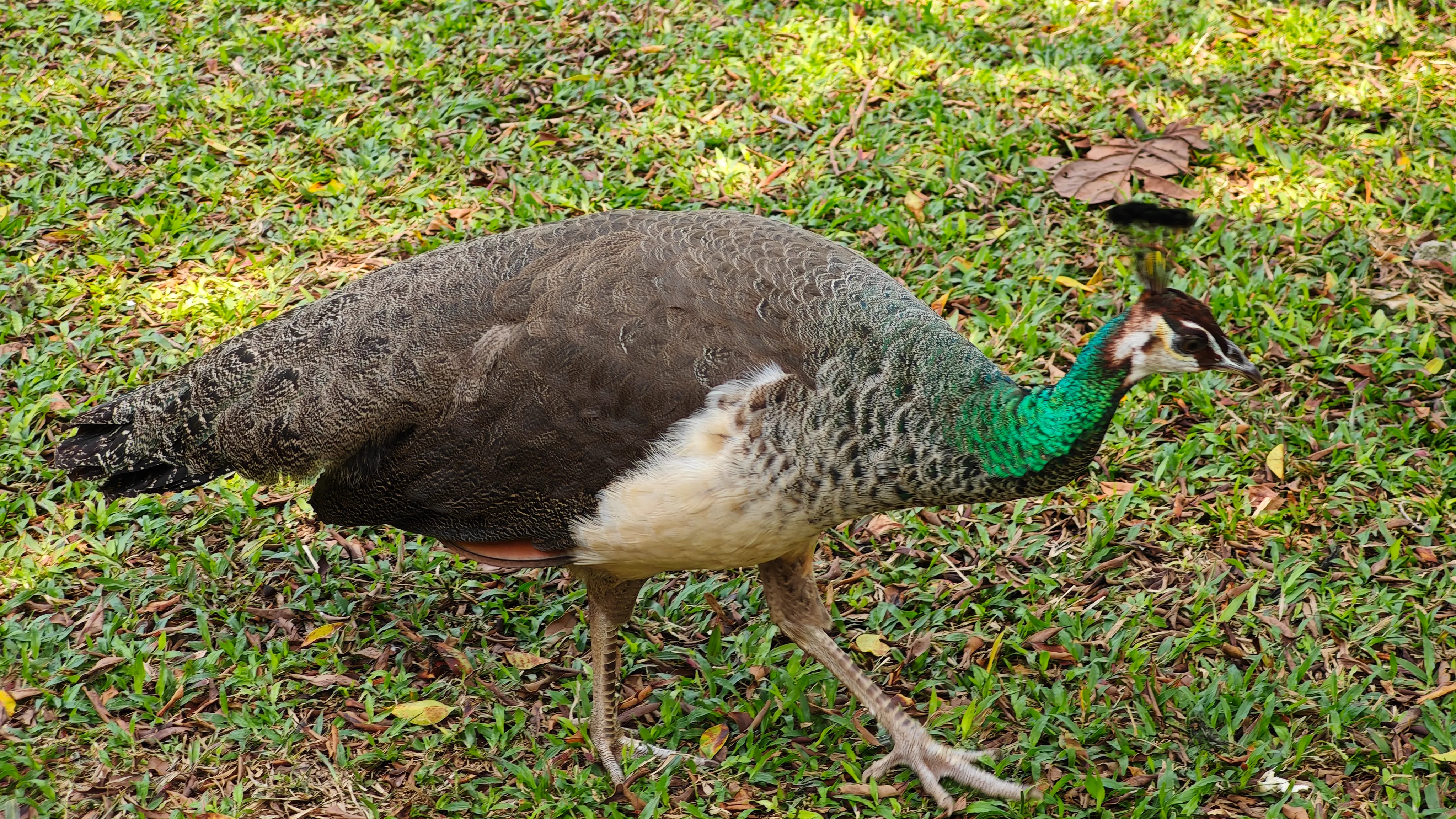 IMG_20260308_124051_1.webp
